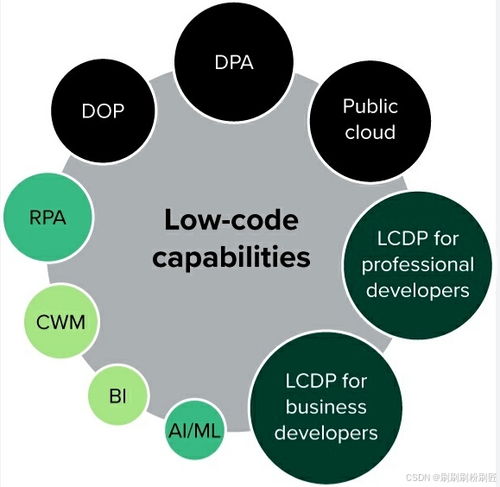 低代碼平臺的崛起 提升開發(fā)效率的新利器