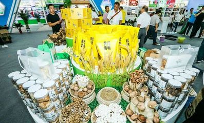 對接長三角市場！阜陽組團參加上海農交會，食用油產品受關注