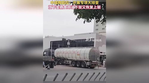 食用油安全風波再起 中儲糧金鼎疑遭污染，官方緊急行動凸顯行業隱憂